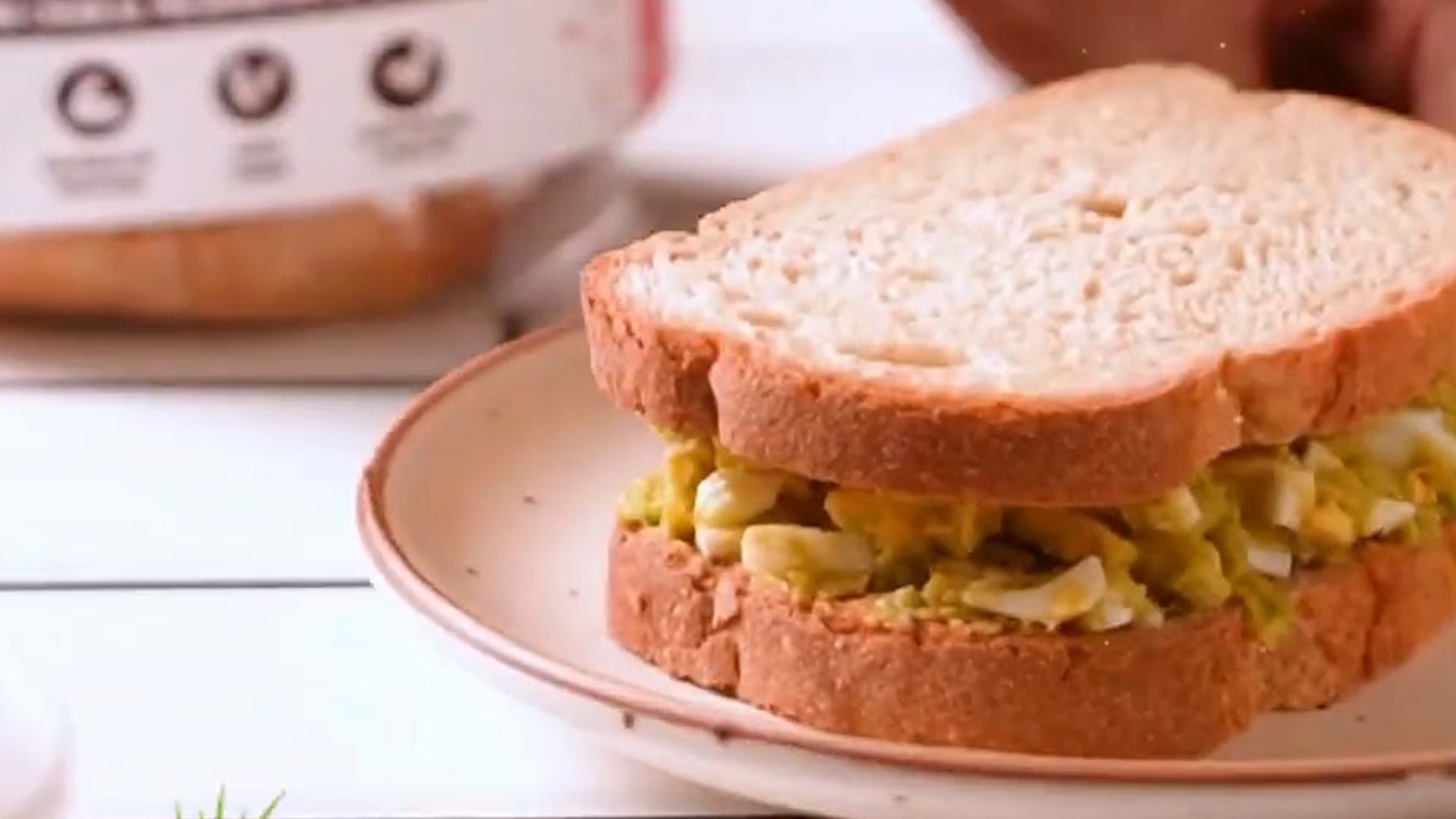 avocado egg sandwich, zero maida protein bread